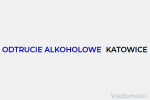 Odtruwanie alkoholowe Katowice-dla kogo polecany jest detoks?